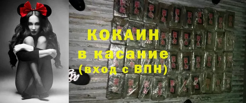 хочу наркоту  Зеленогорск  COCAIN Fish Scale 